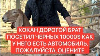 КОКАН ДОРОГОЙ БРАТ ПОСЕТИЛ ЧЕРНЫХ 10000$ КАК У НЕГО ЕСТЬ АВТОМОБИЛЬ, ПОЖАЛУЙСТА, ОЦЕНИТ 94-281-00-40