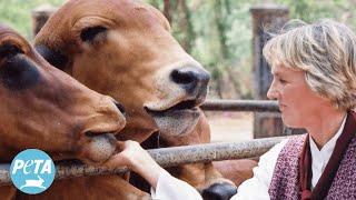 Celebrate Ingrid Newkirk’s Birthday by Helping Animals | PETA