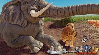 Lions Corner Elephants Over Poacher Trap! | ROBLOX Savannah Life