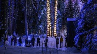 blickpunkt, Projection Mapping Installation, Zauberwald Lenzerheide (Schweiz), 2021