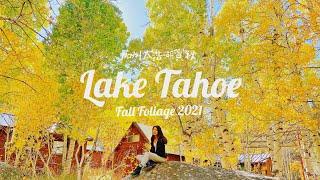 加州太浩湖賞楓 秋天的山上太美好了～｜Fall Foliage in Lake Tahoe 2021｜妮可 Nicole Hsiao