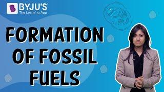 How Are Fossil Fuels Formed? | Class 5 | Learn With BYJU'S