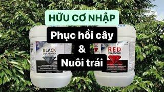 Hữu cơ nhập khẩu "Black & Red Diamond" hiệu quả ở mọi giai đoạn cây trồng #saurieng #huuco #vietnong