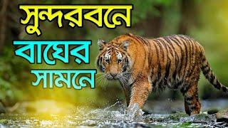 সুন্দরবনে  ভয়াবহ অভিজ্ঞতা  । World's Largest Mangrove Forest । Sundarban Bangladesh