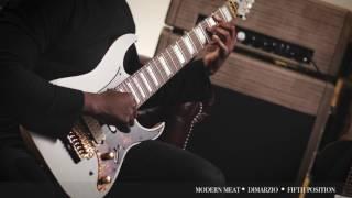 Tosin Abasi's Fishman Fluence Signature Pickup Shootout [4K]