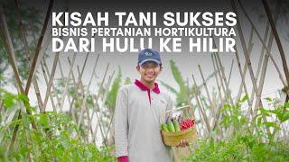 Sukses Bisnis Pertanian Hortikultura Dari Hulu sampai Hilir
