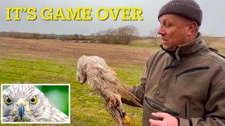 Falconry: journal December 2024