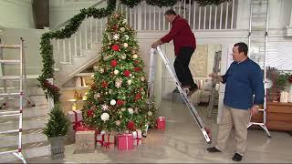 Little Giant Helium 24-in-1 17' Multi- Function Ladder with Wheels on QVC