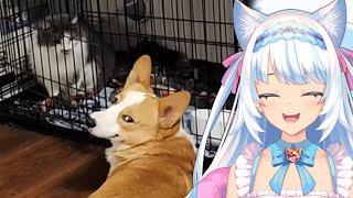 HE'S EVIL! | Milky Mew reacts to Daily Dose of Internet