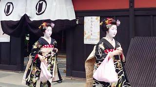 Geishas go the courtesy visit at Hanamikoji in Gion, Kyoto | 京都祇園、花見小路と宮川町で舞妓さんの八朔、外国人観光客の感動、海外の反応