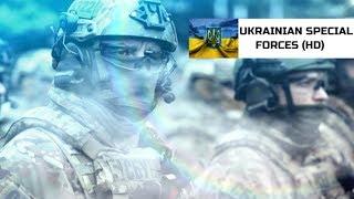 Ukrainian Spetsnaz and SBU || HD Tribute