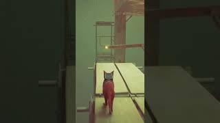 Stray   #ps5 #stray #axelplay