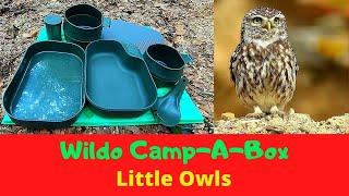Wildo Camp-A-Box and Little Owls