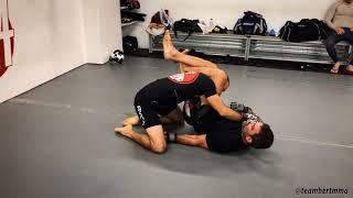 BJJ for MMA technique