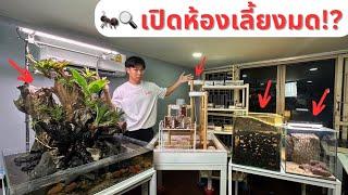 EP 56 เปิดห้องมด!! พาดูมดทุกรัง!? | MORE MOD