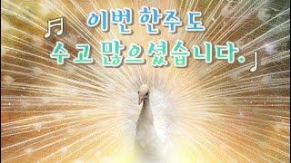 각박한 관악구에서 행복을 찾는 노동자.