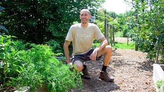 Permaculture Garden Tour | 100% Organic BACKYARD Gardening at it's Finest