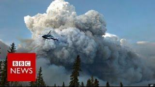 Alberta wildfire: Emergency declared in Fort McMurray - BBC News