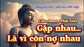 Vì Sao Kiếp Này Là Vợ Chồng | Nhân Quả Xúc Động | Tỉnh Thức