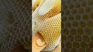 Healthy pure ||Honey bee||tik tok||#honey #satisfying#satisfyingvideo#tiktok #viralvideo