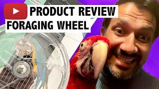 Foraging Wheel Review | Macaw toys