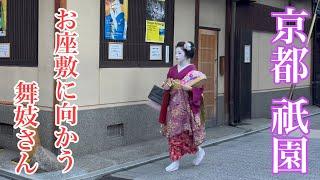 2024年9月11日 舞妓さんが往く夕暮れの京都祇園を歩く Walking around Gion, Kyoto 【4K】