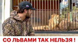 Ленинградский ЗООПАРК, достояние России. Львы заслуживают большего!!! Обращение к ГУБЕРНАТОРУ.