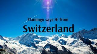 All about Switzerland with Flamingo Transworld!