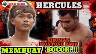 HERCULES MEMBUAT SILUMAN MONTONG PAOK BOCOR Peresean lombok terbaru 2022 MBOENK CHANNEL Lombok viral