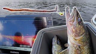 This isn't Fair! Catching GIANT Walleye with Live Worms & Livescope