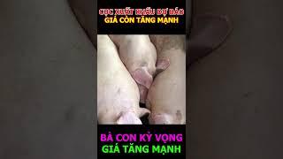 GIÁ CÒN TĂNG MẠNH #shorts