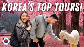 Exploring the Best Tours in Korea! (3 tours in one day)