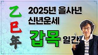 2025년 을사년 신년운세 갑목일간