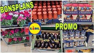 ️LIDL PROMOTION 07.08.24 #arrivagelidl #lidlfrance #lidladdict #lidl #arrivageslidl #promo