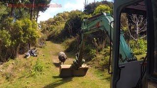 Angry Ram takes on a 6 ton digger