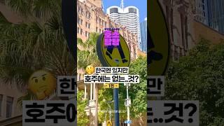 신기한 호주 문화, 한국에는 없는 호주 일상 모습 (feat.호주 문화차이 : 횡단보도편) #shorts #호주문화