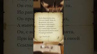 Как выглядит педант-осёл? 8 строк, которые всё объясняют! #стихи #стих #поэзия