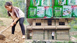 The girl completed the door and cultivated the vegetable garden - Bamboo house | Bàn Thị Ta