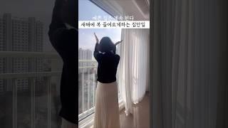 새해에도 예쁜집은 계속 된다 새해 복 들어오는 집안일️ #살림 #살림브이로그 #새해