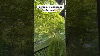 Ресторан на природе в Батуми