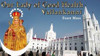 Mass in English - Feast of Our Lady of Vailankanni - 8th September 2024