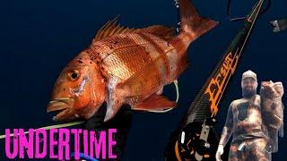 Undertime Gran Canaria  Pesca submarina @Spearfishing.Channel