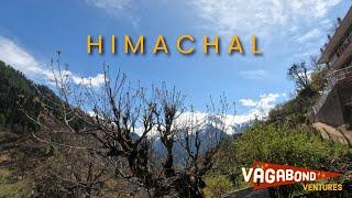 Returning from Tosh | Gems of Himachal Pradesh | #vagabondventures12 | 4K60 | Travel Video