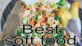 Vegetable for birds | soft food | lovebird soft food | summer soft food,