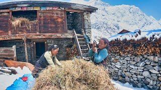Travel Guide to Manaslu Circuit Trek & Larkya La Pass | Trekking in the Himalayas of Nepal