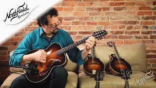 Northfield Archtop Octave Mandolin, Mike Marshall Demo