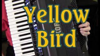 Yellow Bird, Korg Accordion Programming Day 2, Dale Mathis