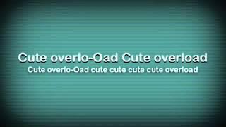 Cute Overload by Parry Gripp Lyrics