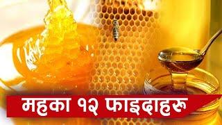 यस्ता छन् महका १२ फाइदा - 12 Advantages Of Honey