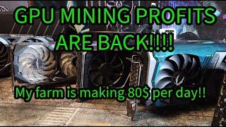 GPU profits are BACK! My farm is MAKING OVER 80$ PER DAY!!!!!